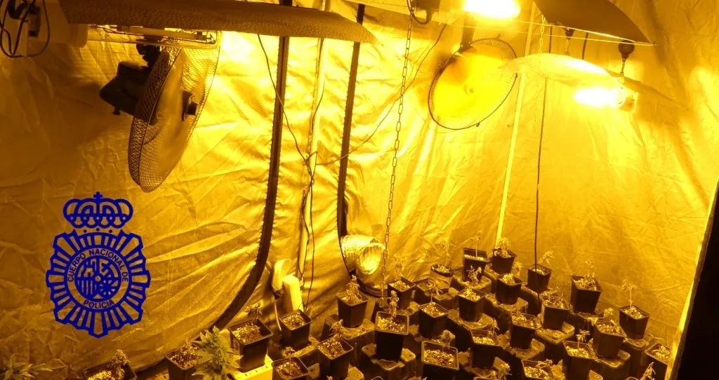 Foto 2 - La Polic&iacute;a descubre una plantaci&oacute;n de marihuana en un piso de la calle Borneo
