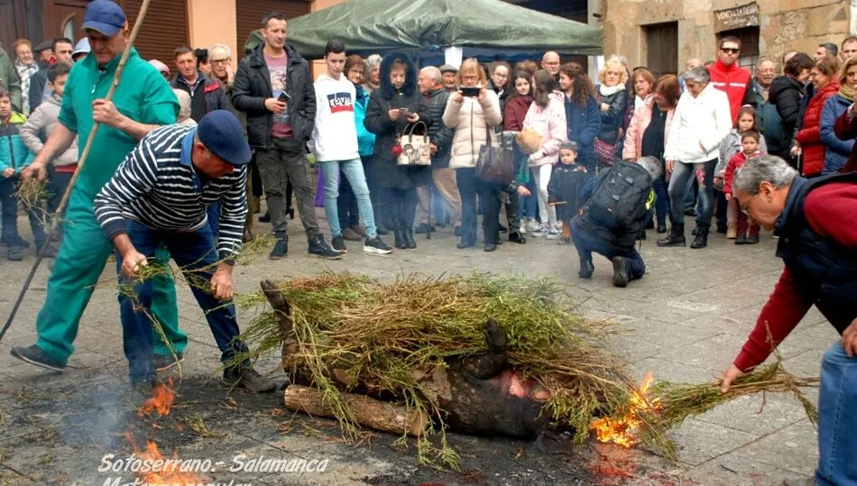 Fiesta de la Matanza en Sotoserrano / FOTOS: MANUEL ÁLVAREZ-MONTESERÍN