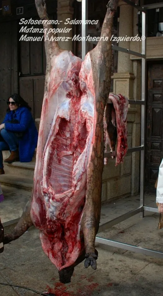Foto 11 - La localidad salmantina de Sotoserrano celebra su Fiesta de la Matanza