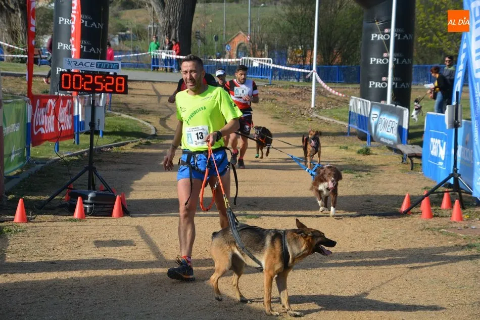 El I Canicross de Alba de Tormes se celebrará el 8 de marzo / Archivo