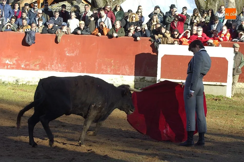 Disponibles los resúmenes en vídeo de las tientas bolsinistas del fin de semana  