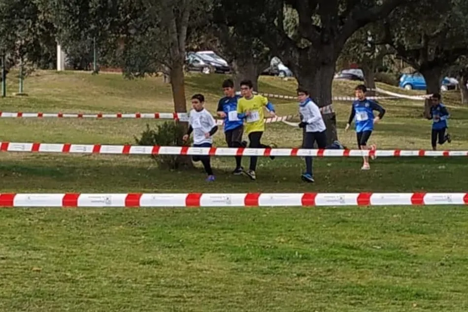 Foto 8 - Buen papel del CD Los Leones de Vitigudino en la prueba de campo a trav&eacute;s  