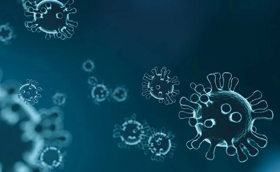 Dan de alta a la mujer y las hijas del paciente con coronavirus ingresado en Mallorca  