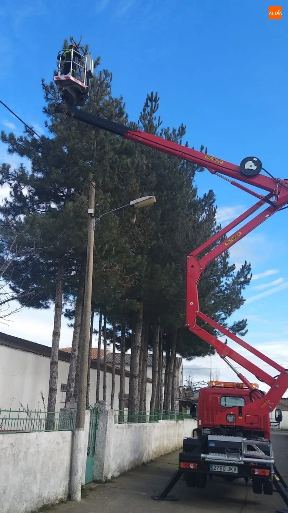 Foto 4 - Los Bomberos retiran nidos de orugas Procesionarias en los pinos de Ba&ntilde;ob&aacute;rez