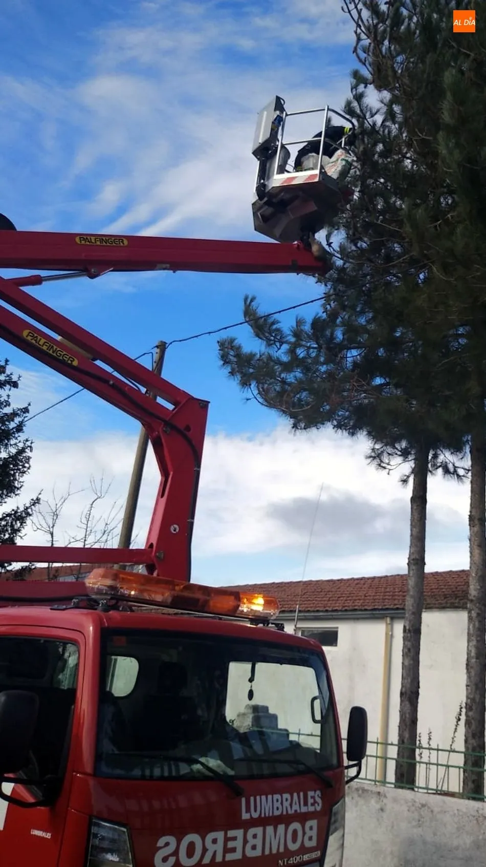Foto 2 - Los Bomberos retiran nidos de orugas Procesionarias en los pinos de Ba&ntilde;ob&aacute;rez