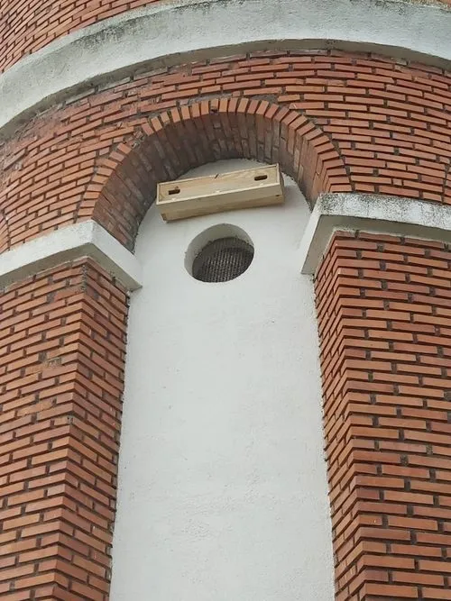Foto 3 - La Asociaci&oacute;n Pe&ntilde;a Gaviota trata de que los vencejos regresen a Boada  