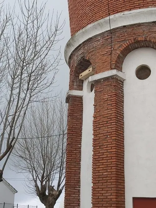 Foto 2 - La Asociaci&oacute;n Pe&ntilde;a Gaviota trata de que los vencejos regresen a Boada  