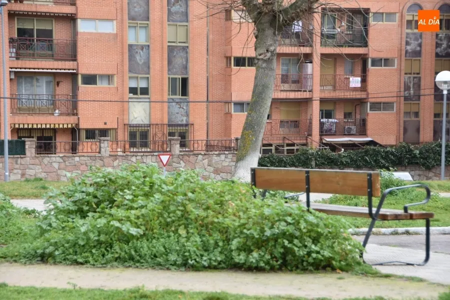 Foto 7 - "El &iacute;ndice de delincuencia del barrio San Jos&eacute; es de los m&aacute;s bajos de Salamanca"