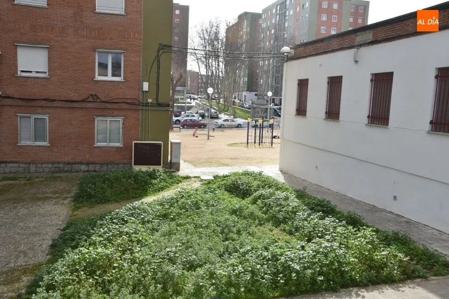 Foto 10 - "El &iacute;ndice de delincuencia del barrio San Jos&eacute; es de los m&aacute;s bajos de Salamanca"