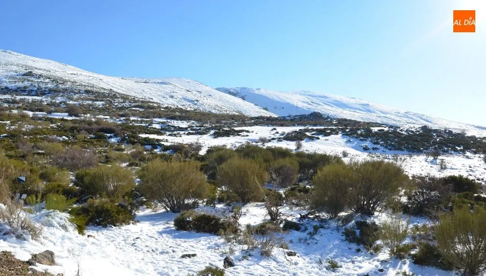 Carrera sobre nieve en la parte alta de La Covatilla / FOTO DE ARCHIVO