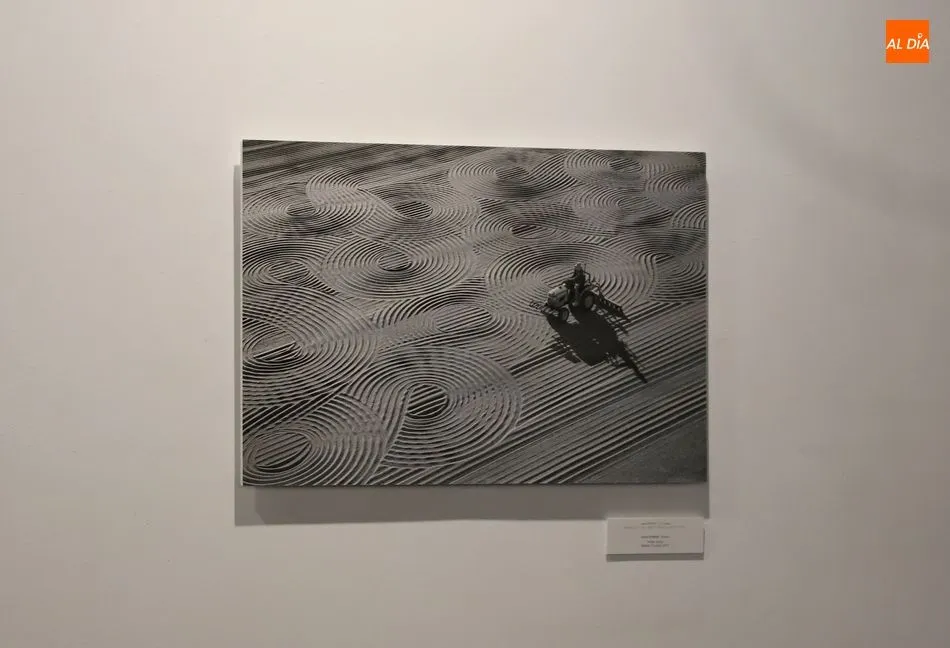 Foto 10 - El Museo de Salamanca muestra las mejores fotograf&iacute;as del concurso internacional...