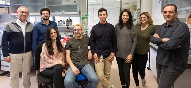 Grupo de Bioinformática y genómica funcional del Centro de investigación del cáncer (CIC-IBMCC). Foto: USAL