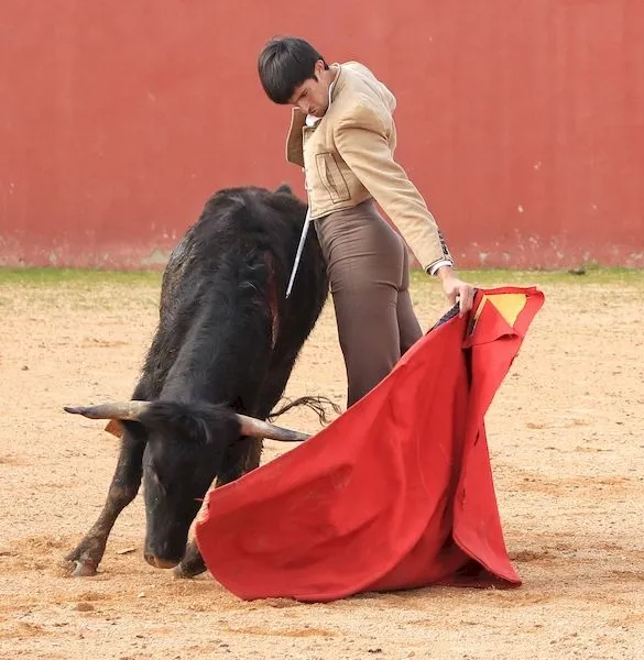 Foto 5 - Juventud Taurina de Salamanca disfruta de un completo d&iacute;a en la finca de Valdefresno