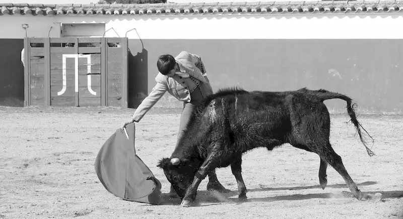 Foto 2 - Juventud Taurina de Salamanca disfruta de un completo d&iacute;a en la finca de Valdefresno