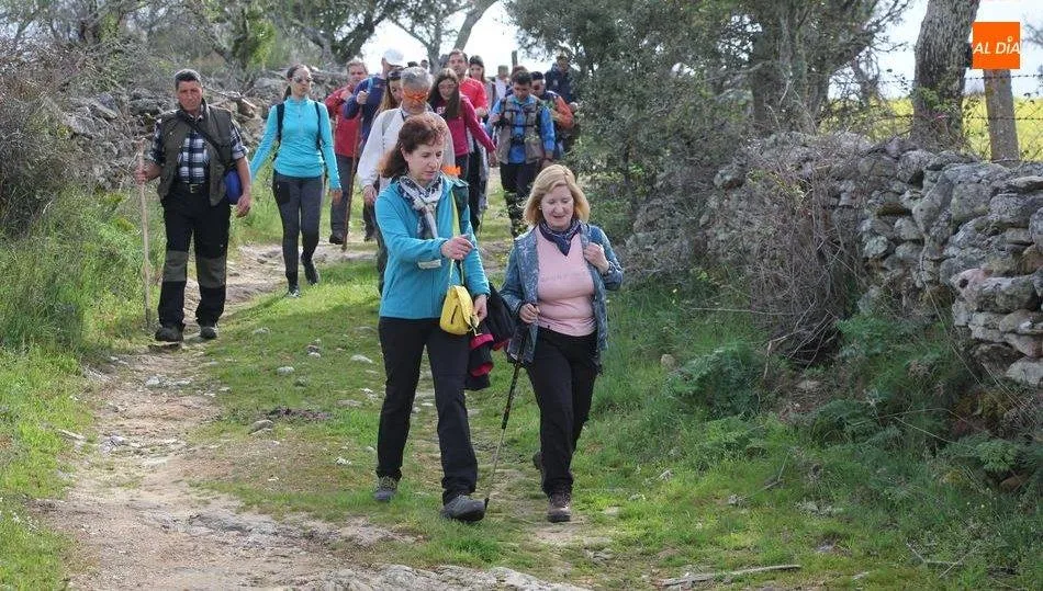Ni 10.000 pasos al día son suficientes para prevenir el aumento de peso