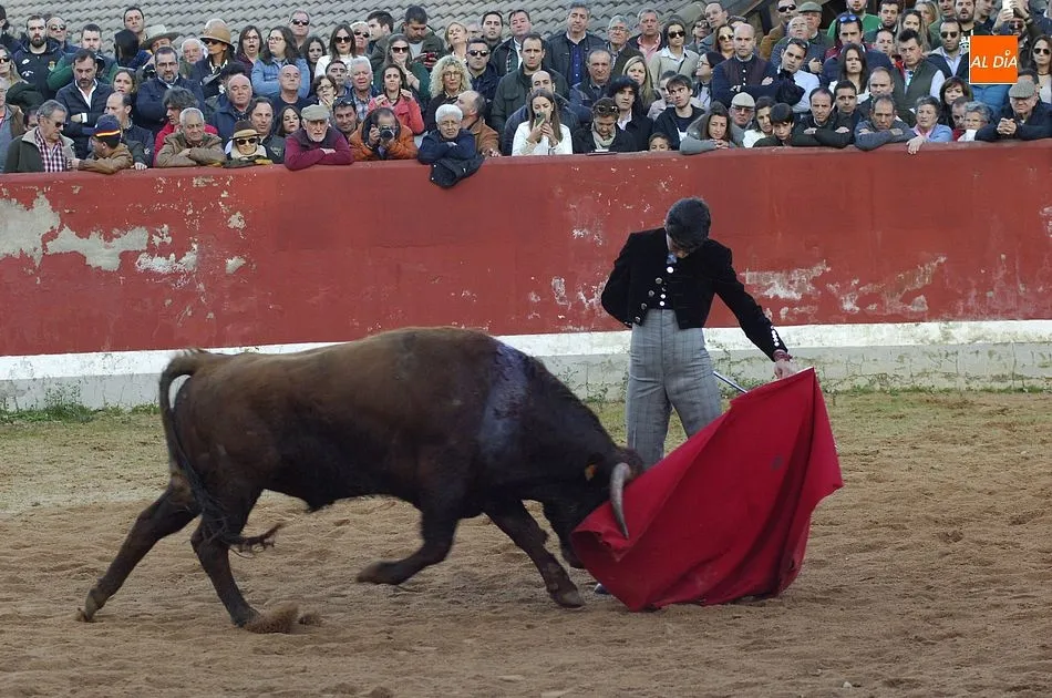 Foto 11 - Los finalistas del Bols&iacute;n se dejan la piel en busca de un hueco en los carteles del Carnaval  