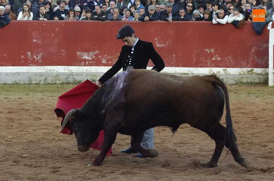 Foto 9 - Los finalistas del Bols&iacute;n se dejan la piel en busca de un hueco en los carteles del Carnaval  