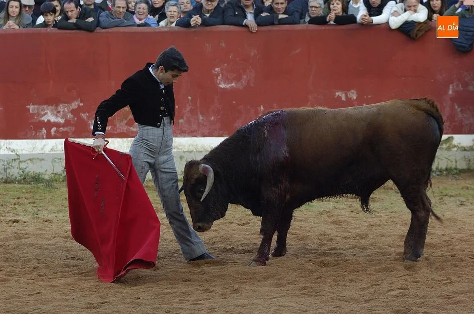 Foto 5 - Los finalistas del Bols&iacute;n se dejan la piel en busca de un hueco en los carteles del Carnaval  