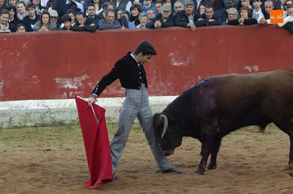 Foto 7 - Los finalistas del Bols&iacute;n se dejan la piel en busca de un hueco en los carteles del Carnaval  