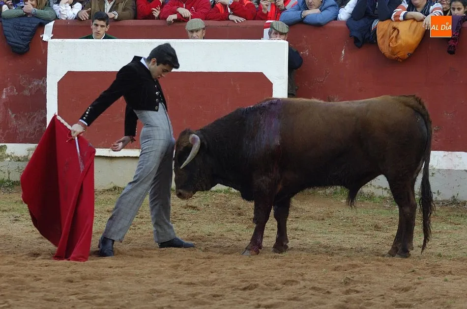 Foto 4 - Los finalistas del Bols&iacute;n se dejan la piel en busca de un hueco en los carteles del Carnaval  