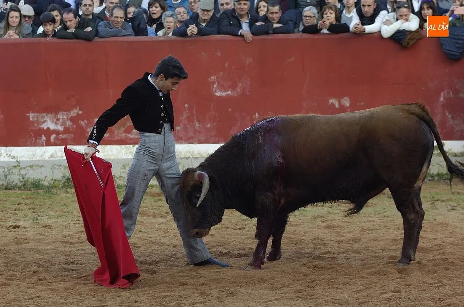Foto 6 - Los finalistas del Bols&iacute;n se dejan la piel en busca de un hueco en los carteles del Carnaval  
