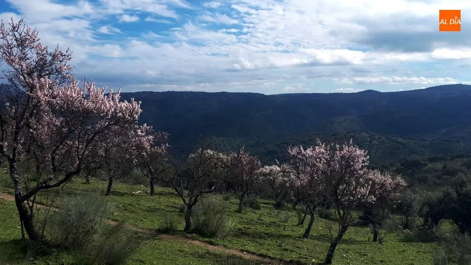 Foto 6 - El CD Abadengo en Marcha visita en su salida mensual el mirador del Pico de la Vela en Hinojosa  