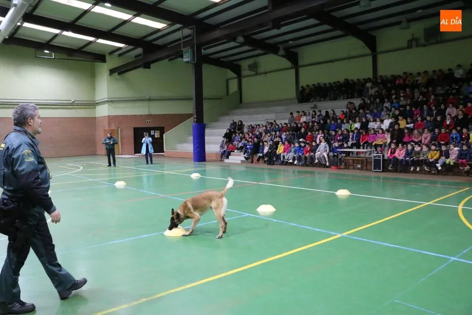 Foto 10 - La Guardia Civil se acerca en Vitigudino a los alumnos del CEIP Manuel Moreno Blanco  