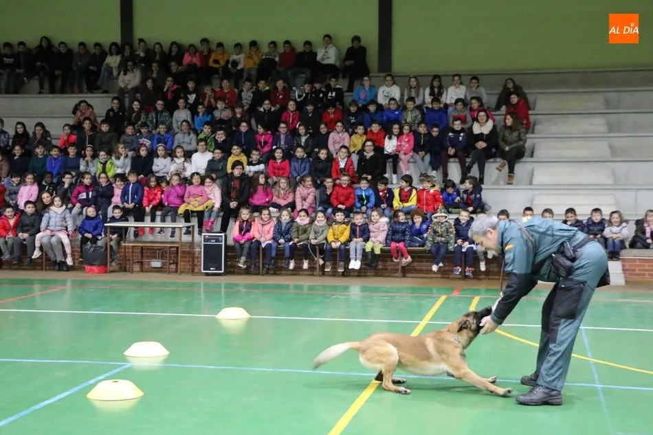 Foto 9 - La Guardia Civil se acerca en Vitigudino a los alumnos del CEIP Manuel Moreno Blanco  