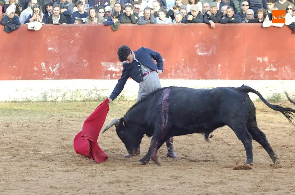 El público elige a ‘Banquero’ como el mejor novillo de la final del Bolsín  