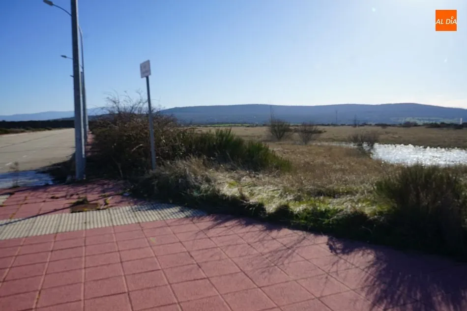 Foto 2 - Nueva subasta de parcelas en el pol&iacute;gono de Fuenterroble