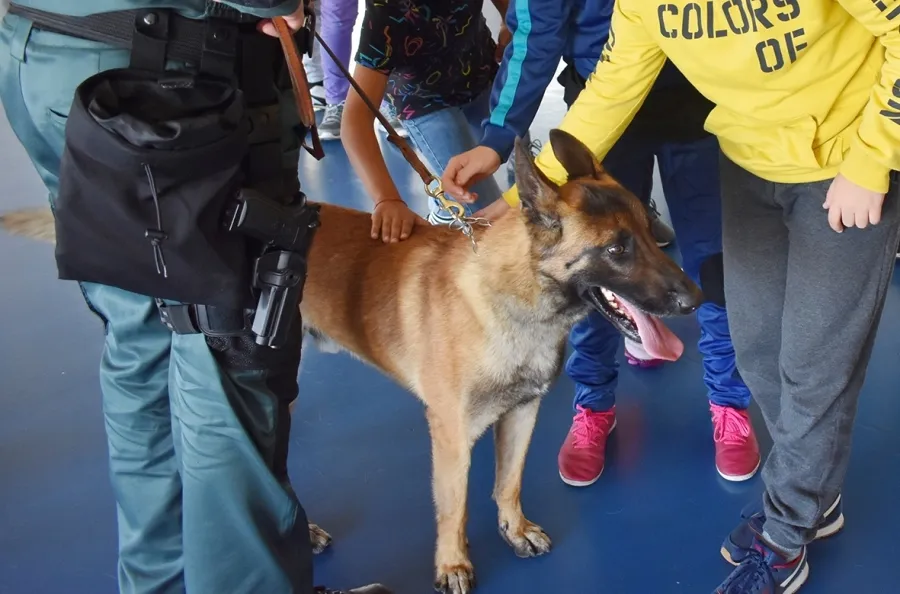 Foto 5 - Los ni&ntilde;os de Carbajosa conocen de cerca el trabajo de los perros de ayuda, asistencia y terapia