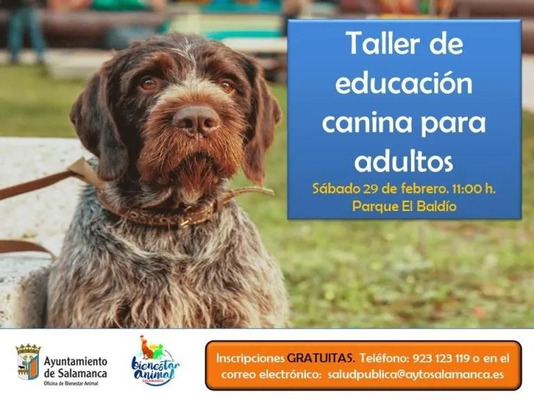 Foto 2 - La Escuela de Bienestar Animal promueve dos talleres m&aacute;s de adiestramiento&nbsp; canino