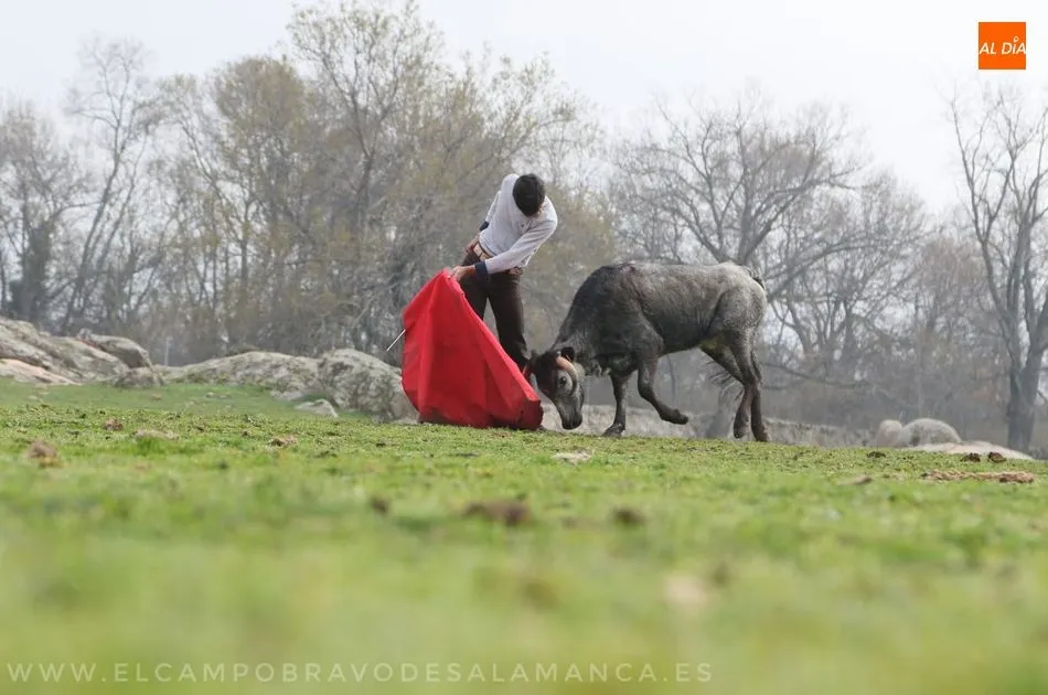 Foto 4 - La &rsquo;15 de Octubre&rsquo; visita la ganader&iacute;a Flor de Jara en Madrid