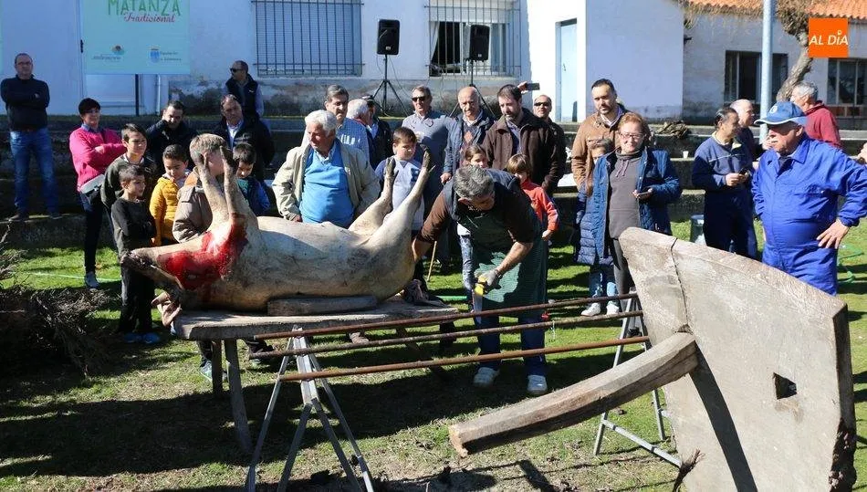 Imagen de la matanza tradicional celebrada en 2019 / CORRAL