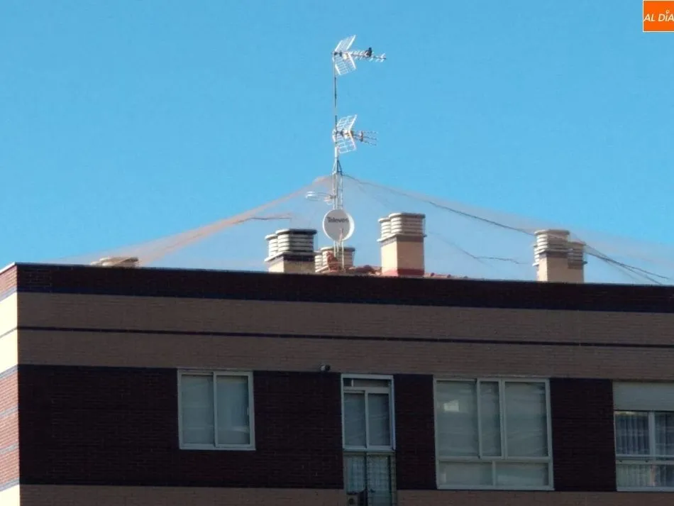 Foto 5 - A los vecinos de Los Alcaldes se les agota la paciencia  