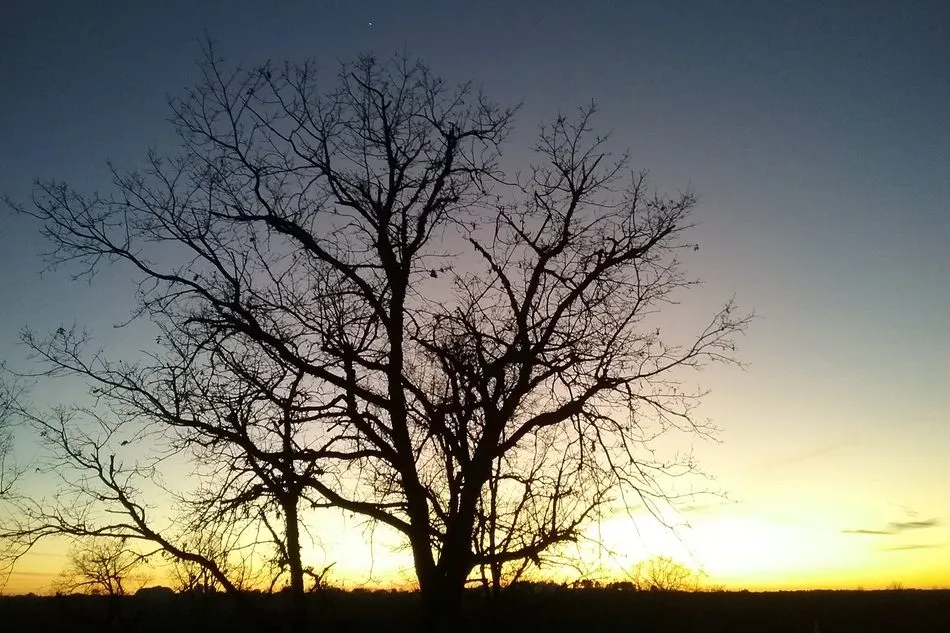 El cielo de Lumbrales  