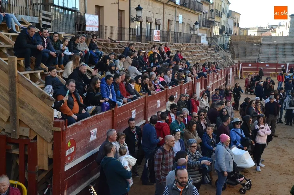 Foto 9 - La Escuela de M&uacute;sica desfila al ritmo del &lsquo;Amigos para Siempre&rsquo;  