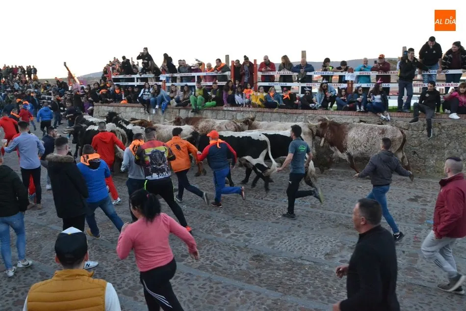 Foto 6 - Una docena de bueyes protagoniza el primer encierro del Carnaval, que fue m&aacute;s &lsquo;largo&rsquo; de lo...