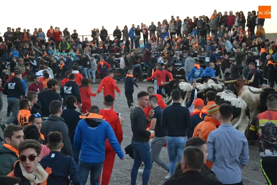 Foto 5 - Una docena de bueyes protagoniza el primer encierro del Carnaval, que fue m&aacute;s &lsquo;largo&rsquo; de lo...