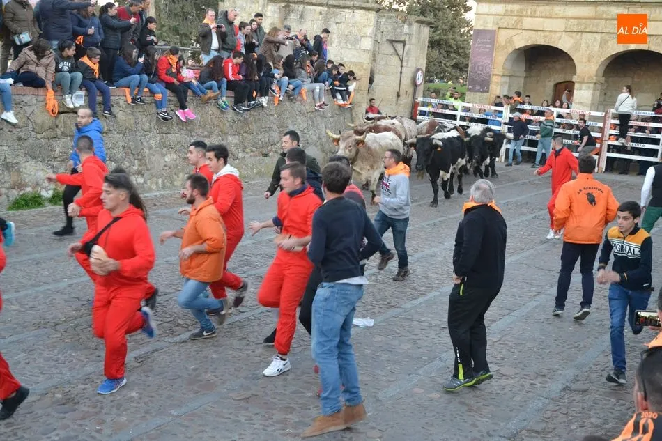 Foto 9 - Una docena de bueyes protagoniza el primer encierro del Carnaval, que fue m&aacute;s &lsquo;largo&rsquo; de lo...