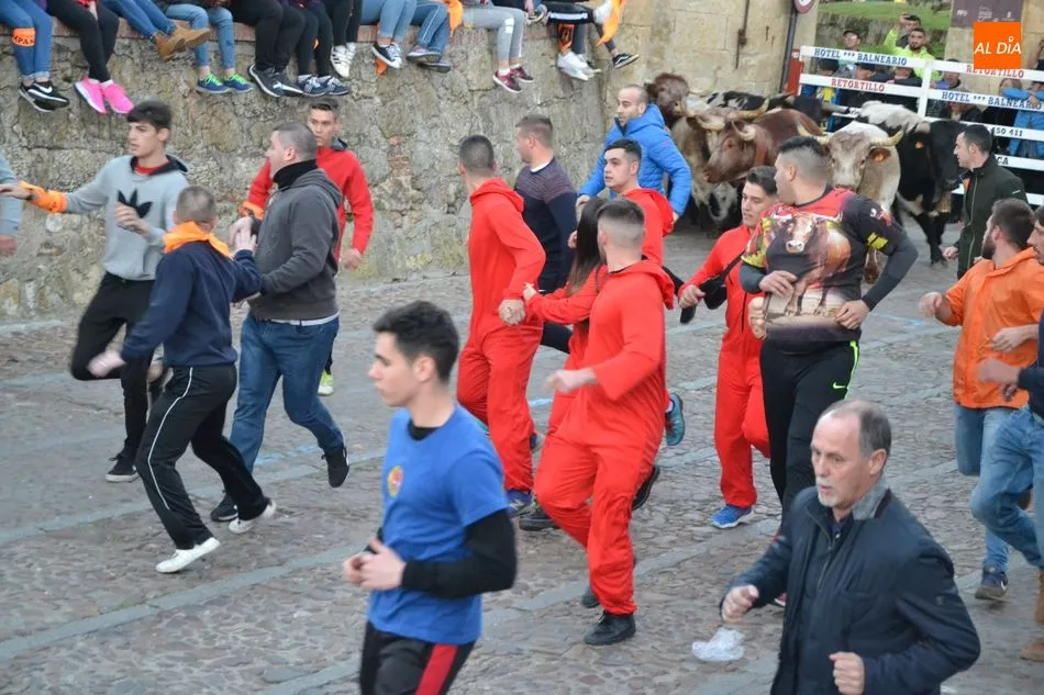 Foto 10 - Una docena de bueyes protagoniza el primer encierro del Carnaval, que fue m&aacute;s &lsquo;largo&rsquo; de lo...