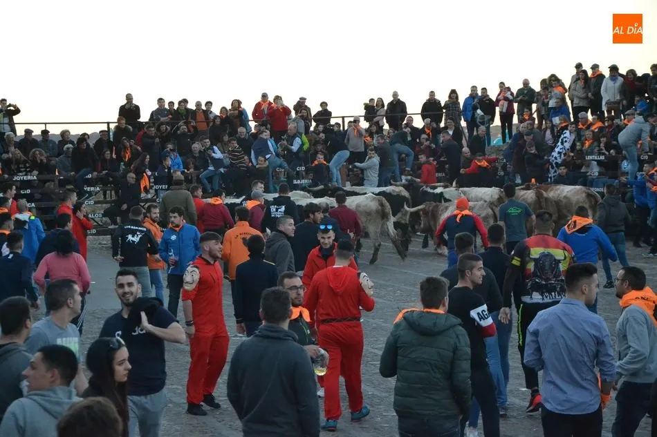 Foto 4 - Una docena de bueyes protagoniza el primer encierro del Carnaval, que fue m&aacute;s &lsquo;largo&rsquo; de lo...