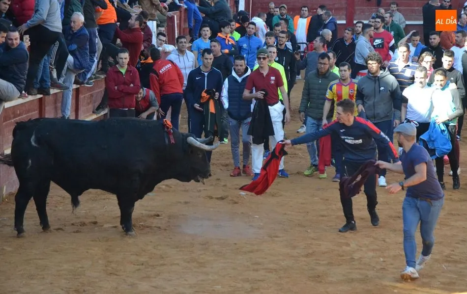 Foto 6 - Le&oacute;n se limita a completar a un ritmo &lsquo;tranquilo&rsquo; el camino de ida hasta la Plaza  