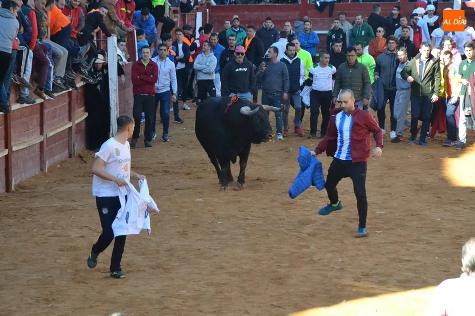 Foto 7 - Le&oacute;n se limita a completar a un ritmo &lsquo;tranquilo&rsquo; el camino de ida hasta la Plaza  