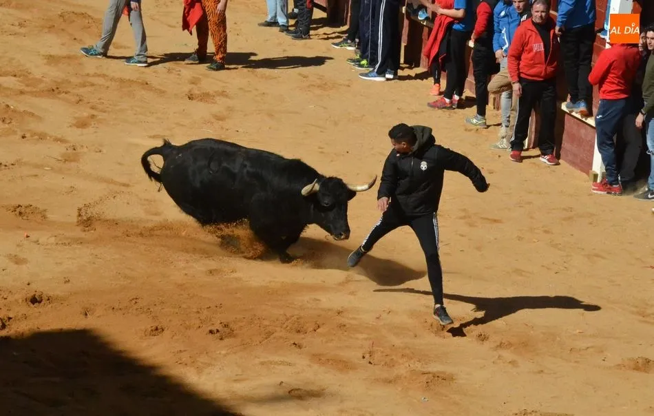 Foto 4 - La manada al completo de Adelaida brinda numerosos momentos de peligro y deja el primer corneado  