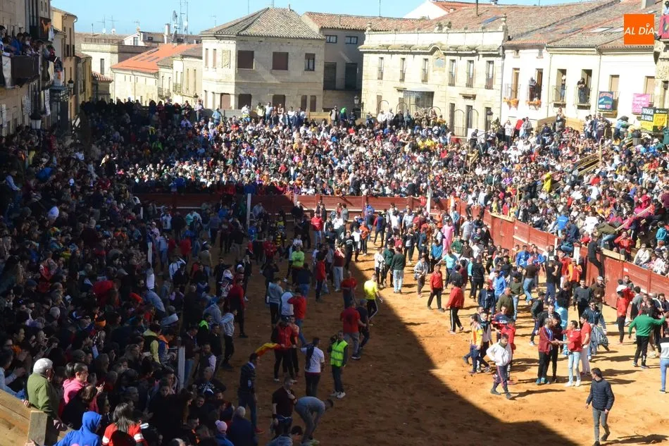 Foto 2 - La manada al completo de Adelaida brinda numerosos momentos de peligro y deja el primer corneado  