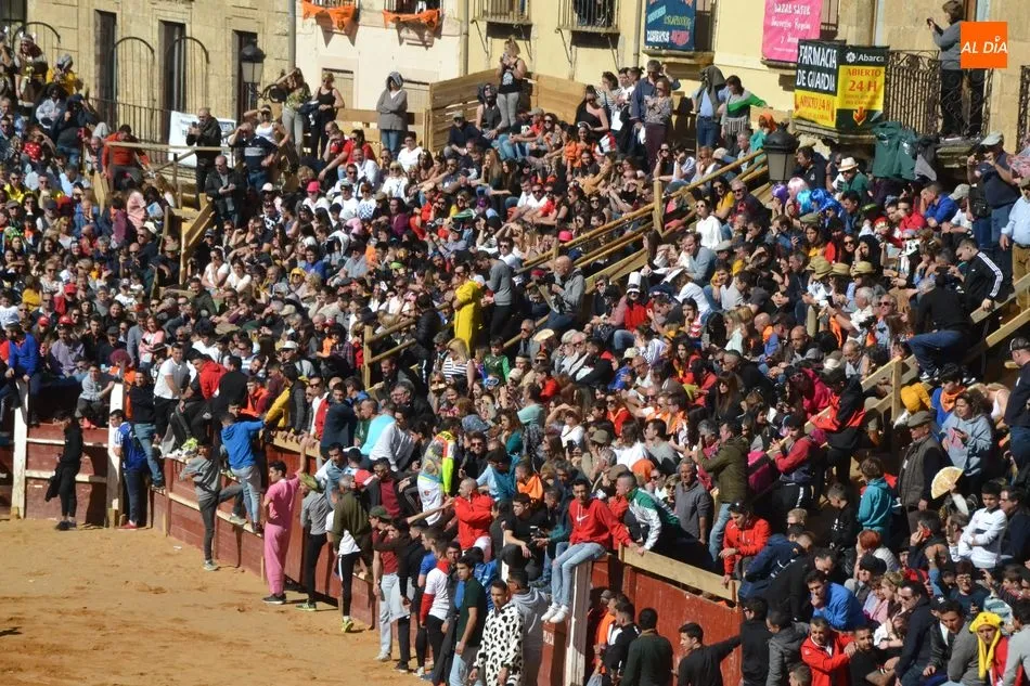 Foto 6 - La manada al completo de Adelaida brinda numerosos momentos de peligro y deja el primer corneado  