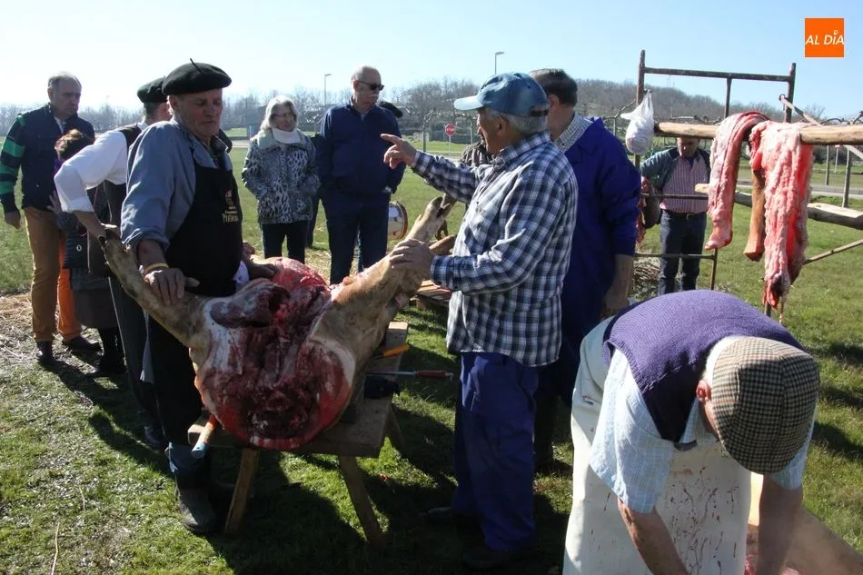 Foto 11 - Tradici&oacute;n y gastronom&iacute;a en la Fiesta de la Matanza de Cerezal de Pe&ntilde;ahorcada  