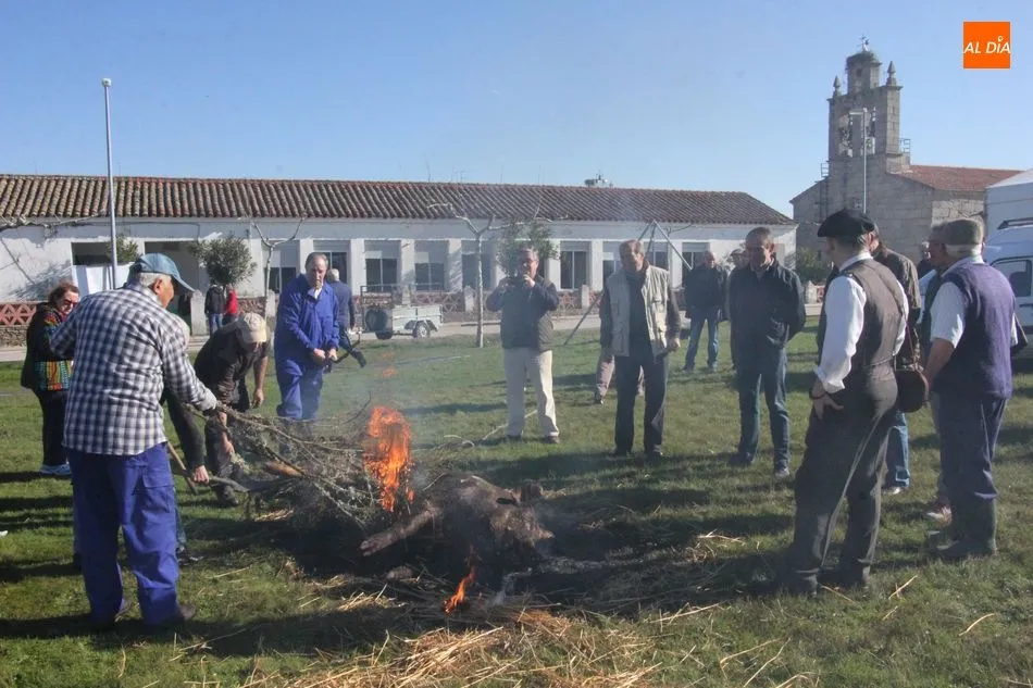 Foto 7 - Tradici&oacute;n y gastronom&iacute;a en la Fiesta de la Matanza de Cerezal de Pe&ntilde;ahorcada  