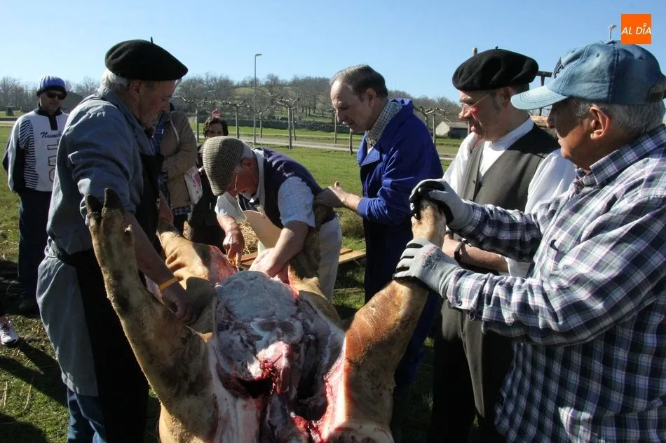 Foto 4 - Tradici&oacute;n y gastronom&iacute;a en la Fiesta de la Matanza de Cerezal de Pe&ntilde;ahorcada  